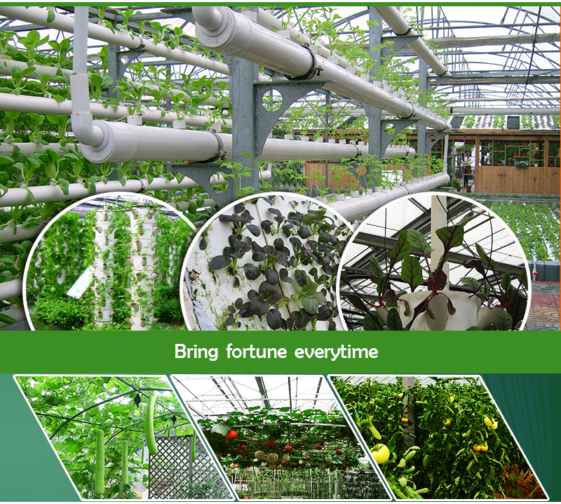 Agriculture Products-Greenhouse Covering Film & Mulch Films  We supply greenhouse, mulch, ginegar, Poly, farming, agriculture, kisan, products, agricultural products, online farming, soilless farming, crop cover, drip irrigation, mulch, pond liner, shadenet, skirting film, aluminet, tree guard,Manufacturer of Greenhouse and Supplier of Greenhouse dil Film Or Polyfilm, Aluminet And Thermo Reflective Nets & Mulching Film Zero Transmission Premium Quality ,agriplast, Indian Greenhouse Private Limited, IGPL,Topgreenhouse,Cravo greenhouses, GM Greenhouses, Govind Greenhouse construction, Agriplast ,Agriplast Tech India Pvt. Ltd, Naturally Ventilated Polyhouse,Shadenethouse